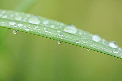 2024年Steam大奖入围名单公布 《黑神话：悟空》入围三项